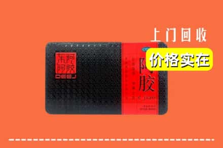 石河子市阿拉尔回收阿胶