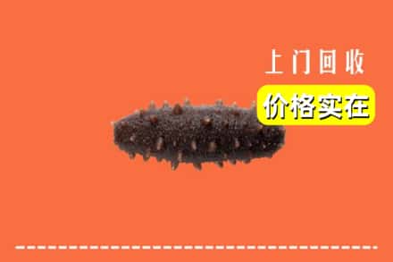 石河子市阿拉尔回收海参