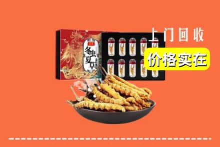 石河子市阿拉尔回收虫草